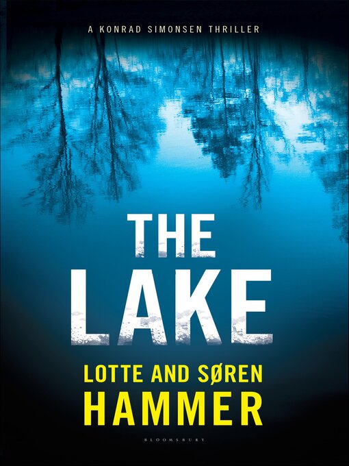Cover image for The Lake